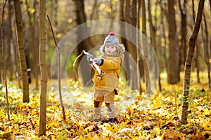 Little boy during stroll in the forest at cold sunny autumn day