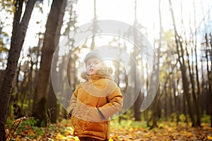 Little boy during stroll in the forest at cold sunny autumn day