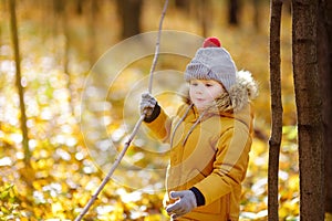 Little boy during stroll in the forest at cold sunny autumn day