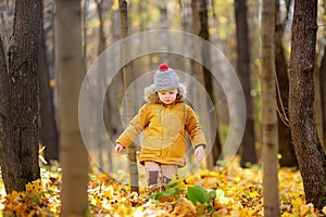 Little boy during stroll in the forest at cold sunny autumn day