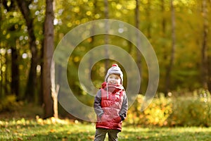 Little boy during stroll in the forest at sunny autumn day