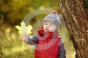 Little boy during stroll in the forest at sunny autumn day