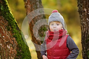 Little boy during stroll in the forest at sunny autumn day