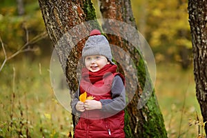 Little boy during stroll in the forest at sunny autumn day