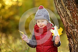 Little boy during stroll in the forest at sunny autumn day