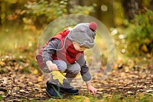 Little boy during stroll in the forest at sunny autumn day