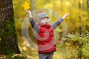 Little boy during stroll in the forest at sunny autumn day