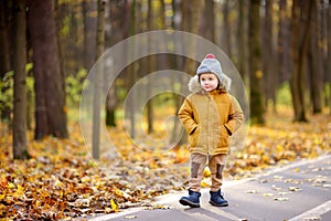 Little boy during stroll in a public park at cold sunny autumn day