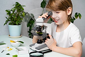 A little boy studies plants in a microscope and smile, back to school, schoolboy, ecology, earth day