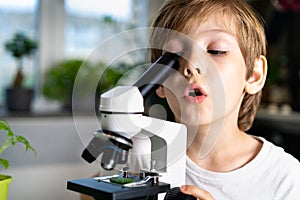 Little boy studies plants under a microscope, emotions of surprise and delight