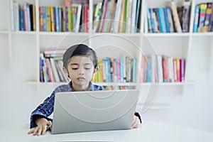 Little boy studying with a laptop in the library