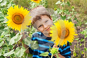 Little boy with sunflower