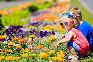 Little boy and toddler girl watering flowers in garden