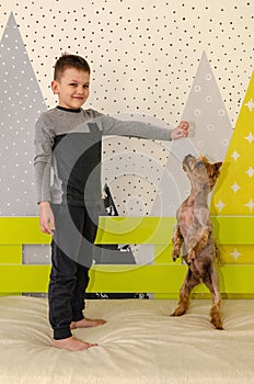 A little boy is training his dog in his room on the bed.