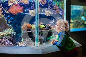 Little boy at tropical aquarium