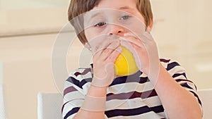 Little boy trying to bite lemon