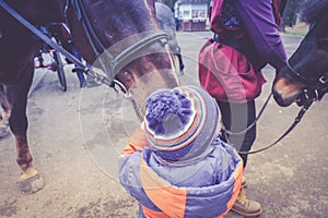 A little boy in turquoise overalls stroking an Icelandic pony horse with a funny forelock. The kid thanks the horse after