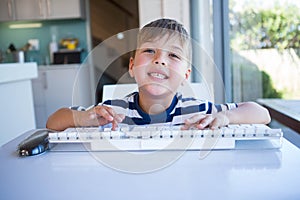 Little boy using computer in the living room