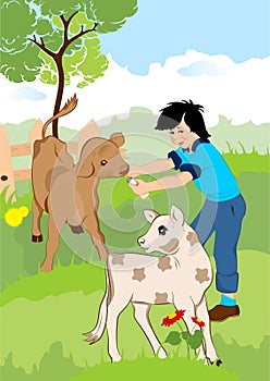 Little boy with veals