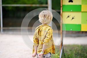 Little boy is visiting outdoors petting zoo. Child having fun in farm with animals. Children and animals. Entertainment for family