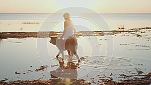 Little boy walking with a dog on the water at sunset