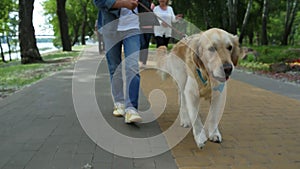 Little boy walking with his dog