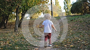 A little boy walks in the autumn park. A blond boy walks in the park in the evening.