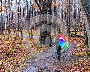 Little Boy Walks Through the Forest on a Rainy Day