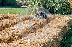 Little boy walks in a maze made of bales of straw
