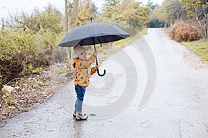 A little boy walks in the rain umbrella autumn