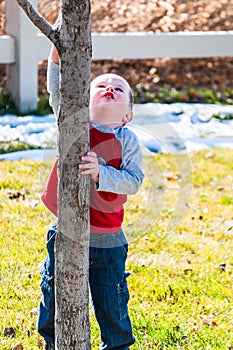 Little boy wanting to climb a tree