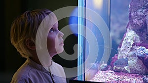 Little boy watches fishes in aquarium. Child exploring explores the world of sea. Elementary student is on excursion in seaquarium