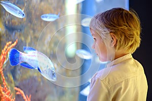 Little boy watches fishes in aquarium. Child exploring nature. Elementary student is on excursion in seaquarium