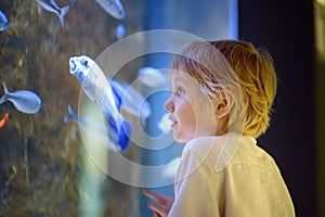 Little boy watches fishes in aquarium. Child exploring nature. Elementary student is on excursion in seaquarium