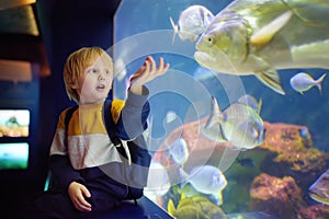 Little boy watches fishes in seaquarium