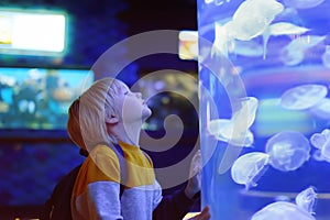 Little boy watches jellyfishes in seaquarium