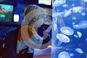 Little boy watches jellyfishes in seaquarium