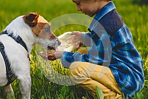 Little boy watering his pet dog at walk at sunny summer day