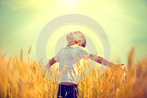 Little boy on a wheat field in the sunlight