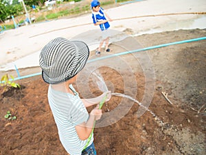 Little boy working planting in the farm outdoor