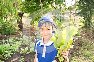 Little boy working planting in the farm outdoor