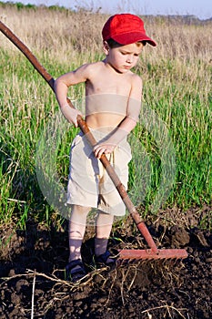 Little boy works with rake