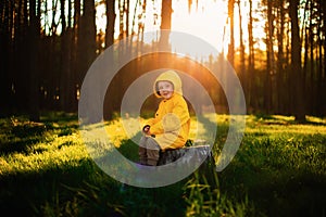 Little boy in a yellow jacket sits on a stump in the forest. Nature care concept.  . Action against deforestation. Take care of th