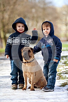 Little boys in the park with their dog friend