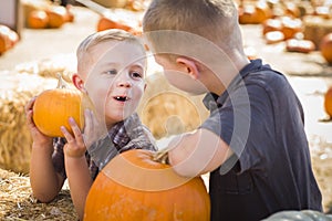 Little Boys at the Pumpkin Patch Talking and Having Fun