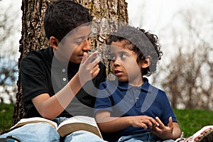 Little Boys Studying the Bible