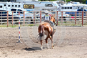 Little Britches Rodeo