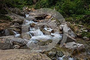 little brook with rocks in the nature while hiking