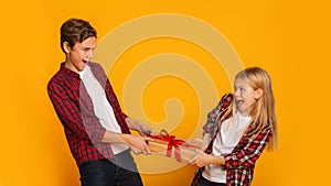 Little brother and sister fighting for gift, pulling present box