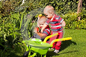 Little brothers enjoy garden